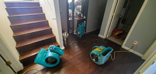 Best Basement water damage restoration  in Helena Valley Northeast, MT