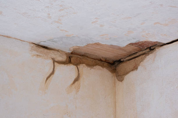 Best Emergency water damage restoration  in Helena Valley Northeast, MT