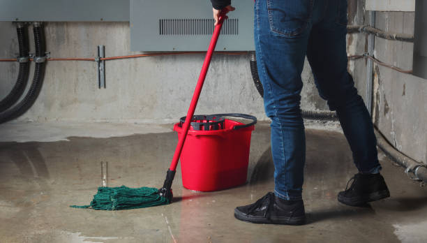 Best Water damage restoration near me  in Helena Valley Northeast, MT