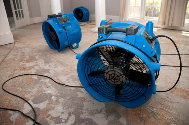 Best Flood damage cleanup  in Helena Valley Northeast, MT