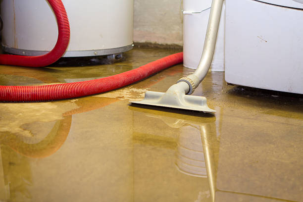 Best Carpet water damage restoration  in Helena Valley Northeast, MT