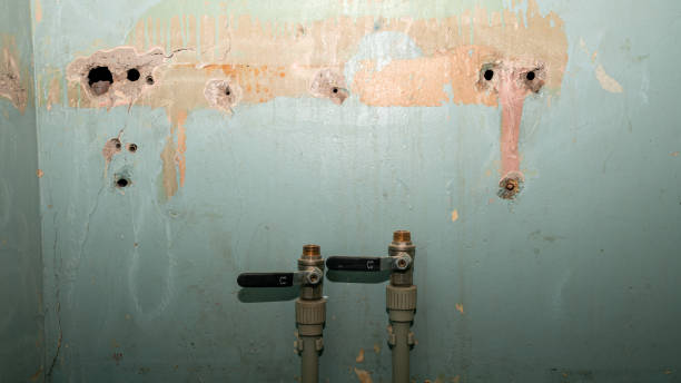 Best Mold removal after water damage  in Helena Valley Northeast, MT